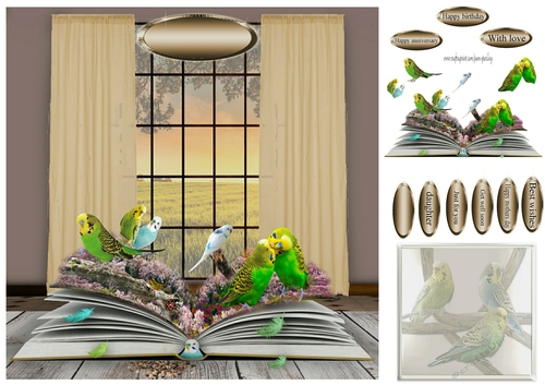 book on budgies