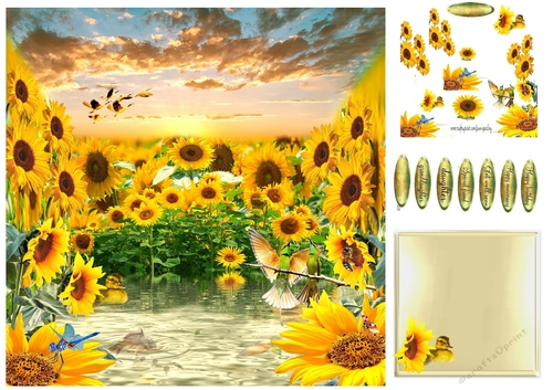 in the sunflowers
