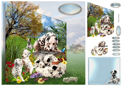 Dalmatian family