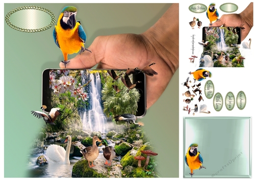 birds at the falls