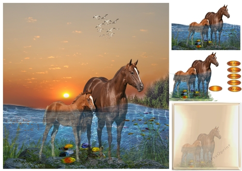 horses in the water