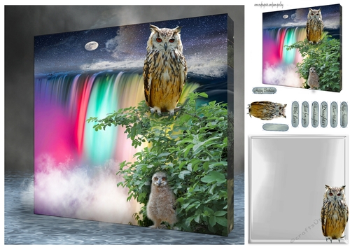 owls at the falls 