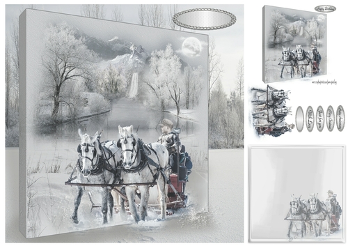 ride in the snow 