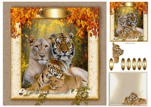 strange families