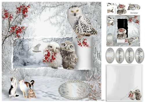 owls and the pussy cats ripped card