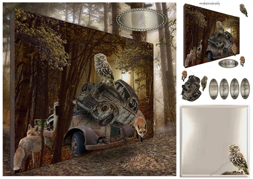 scrap cars in the forest