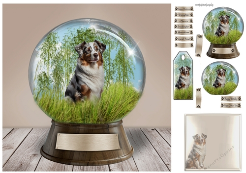 Australian Shepherd dog in a globe