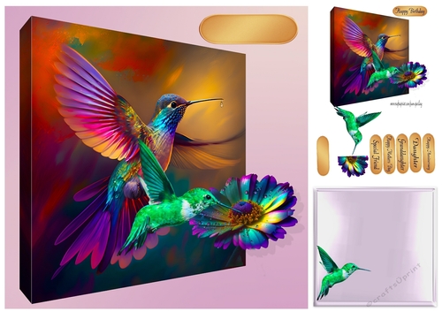colourful hummingbirds
