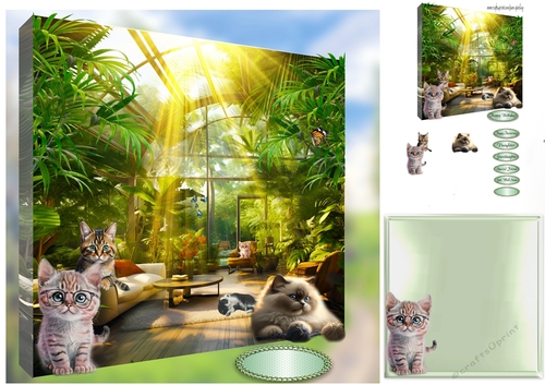 cats in the summer house