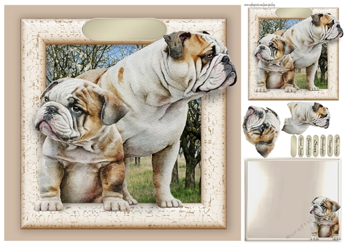 bulldogs