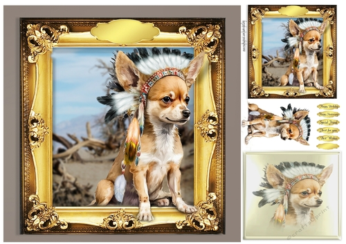 chihuahua sitting bull