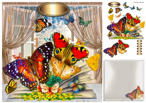 book of butterflies