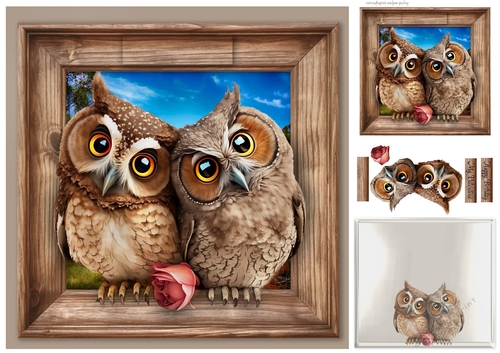 owls in love