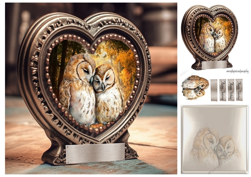 owls in love
