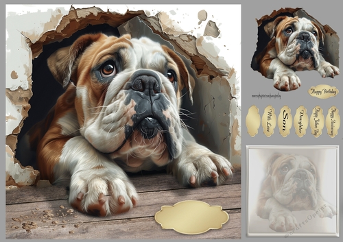 Bulldog