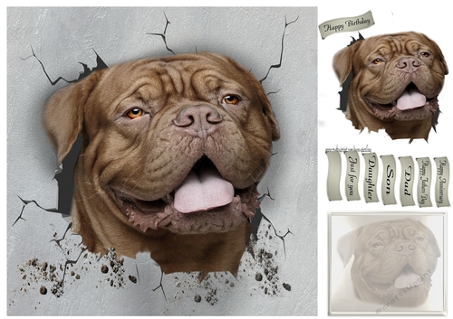 (Dogue de bordeaux) you called
