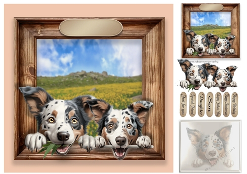 happy dogs