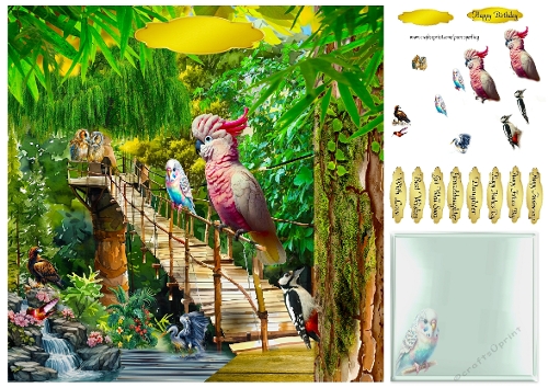 birds of the forest