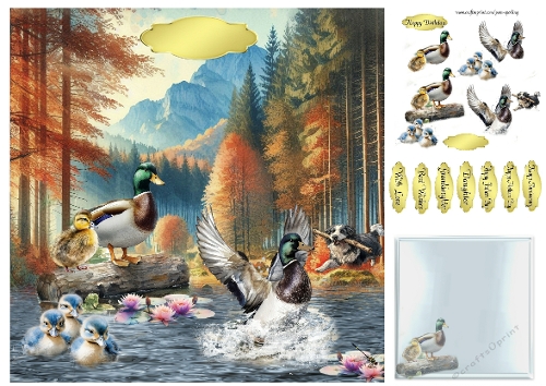 water-fowl