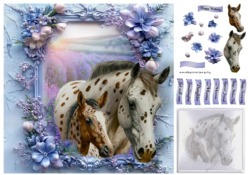 horse and foal