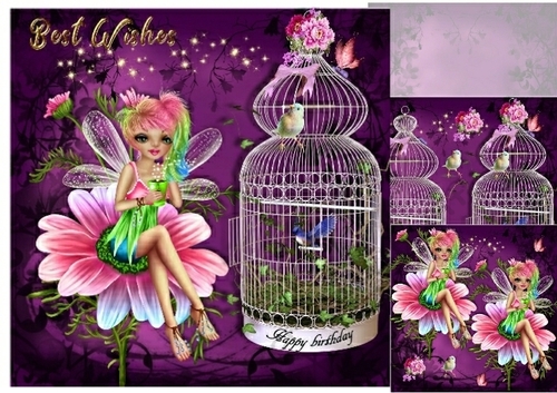 pink fairy