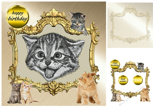 lots of cats