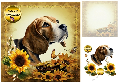 sunflowers and dog