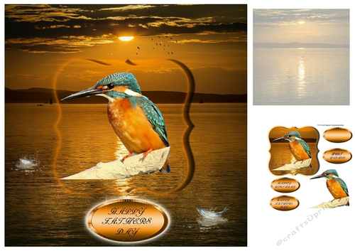 kingfisher
