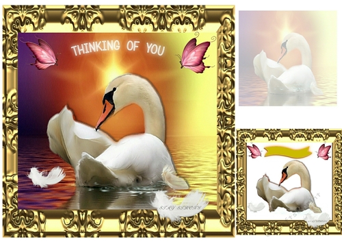 thinking of you 
