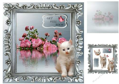 roses and kitten