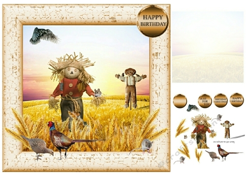 in the field of wheat