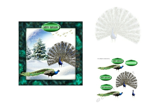 peacocks in the snow 