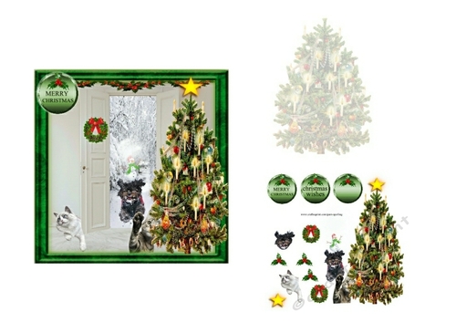 cats and dog at christmas 