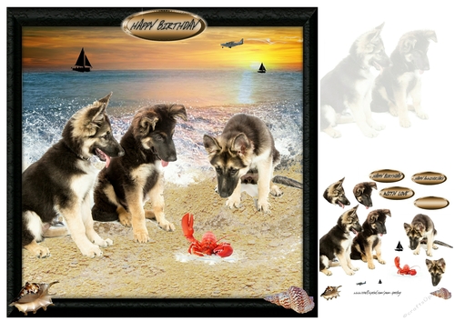 at the beach