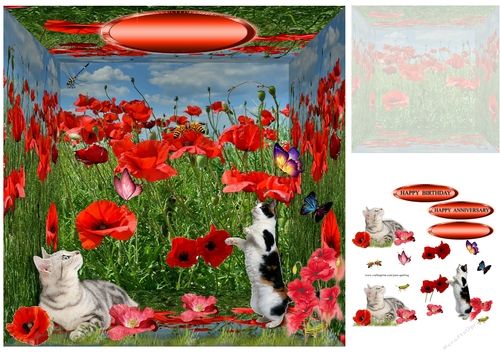 in the poppy fields