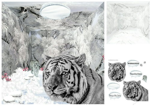 tigers in the snow