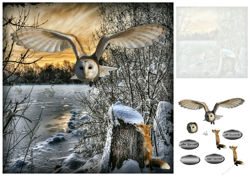 fox and the owl