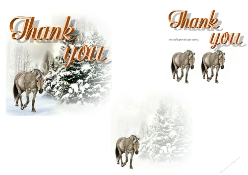 thank you horse