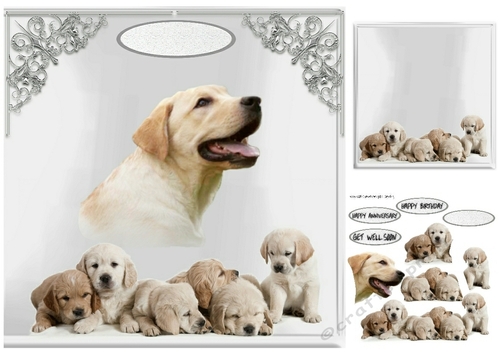 family portrait