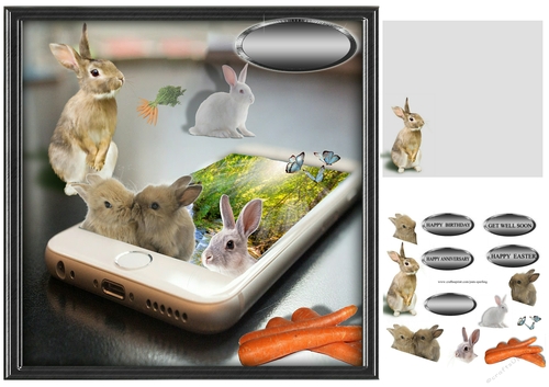 bunnies on the phone 