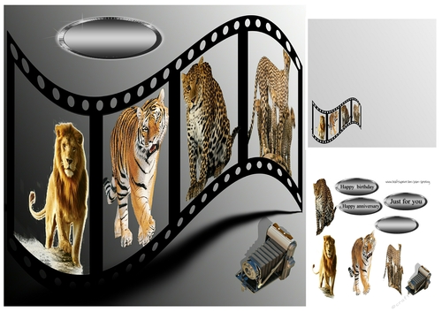 big cats on film