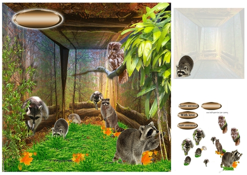 raccoon paradise