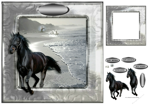 black horse