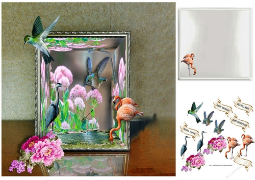 birds in frame