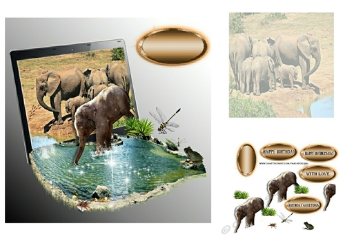 at the watering hole