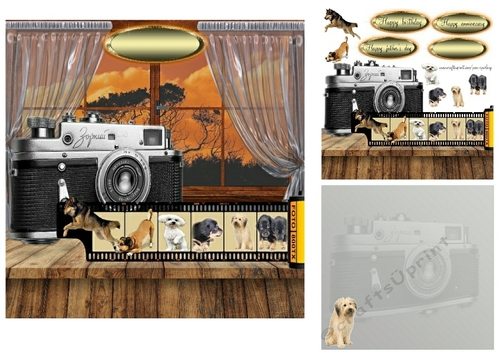 dog photographer