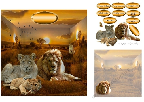 lions in africa 