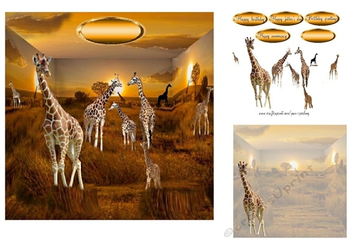 giraffes in africa