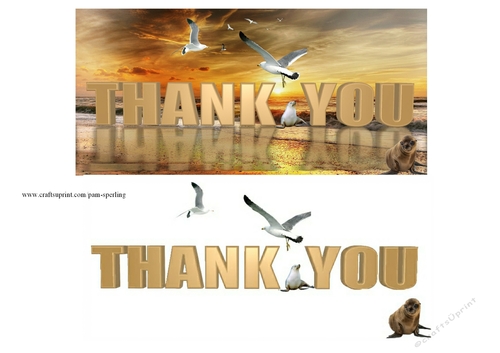 thank you on the beach 