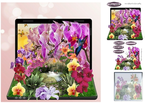 the orchid garden